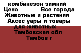 комбинезон зимний › Цена ­ 1 300 - Все города Животные и растения » Аксесcуары и товары для животных   . Тамбовская обл.,Тамбов г.